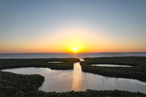 Land in Punta Gorda, Florida № 763558 - photo 11