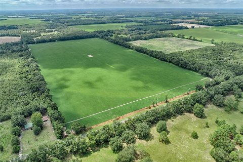 Terreno en venta en Bell, Florida № 1355675 - foto 6