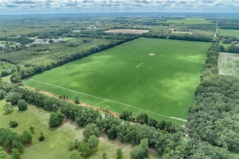 Terreno en venta en Bell, Florida № 1355675 - foto 4