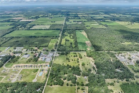 Land in Bell, Florida № 1355675 - photo 12