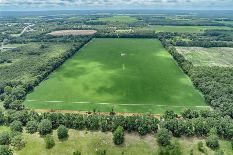 Terreno en venta en Bell, Florida № 1355675 - foto 2