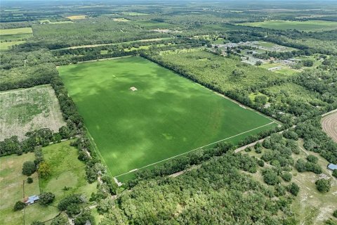 Terreno en venta en Bell, Florida № 1355675 - foto 8