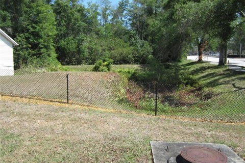 Land in Lutz, Florida № 393802 - photo 2