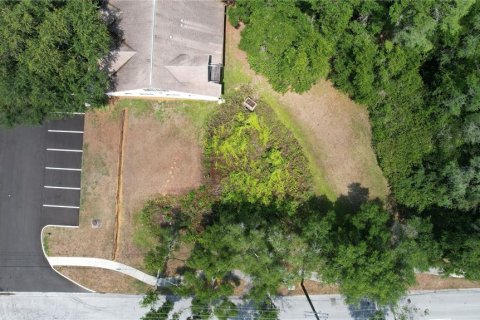 Terreno en venta en Lutz, Florida № 393802 - foto 9