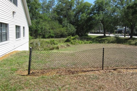 Land in Lutz, Florida № 393802 - photo 1