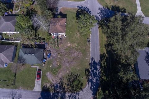 Land in Oakland, Florida № 1360046 - photo 2