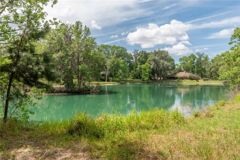 Land in Ocala, Florida № 426805 - photo 7