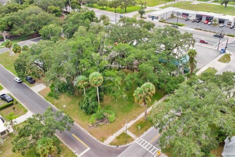 Land in Sanford, Florida № 1303533 - photo 1