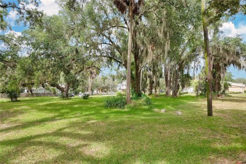 Terreno en venta en Sanford, Florida № 1303533 - foto 3