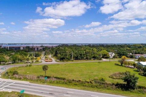 Terrain à vendre à Punta Gorda, Floride № 1106535 - photo 3