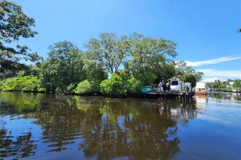 Land in Bradenton, Florida № 1334986 - photo 9