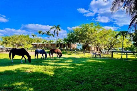 Villa ou maison à vendre à West Palm Beach, Floride: 1 chambre, 139.35 m2 № 642852 - photo 21