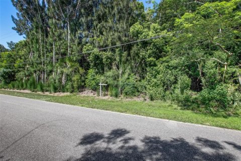 Купить земельный участок в Орландо, Флорида № 663618 - фото 5