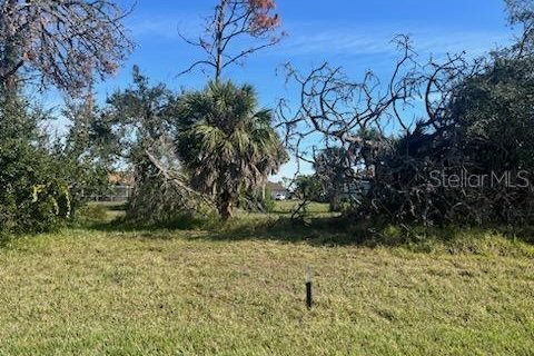 Terreno en venta en Rotonda, Florida № 964190 - foto 3