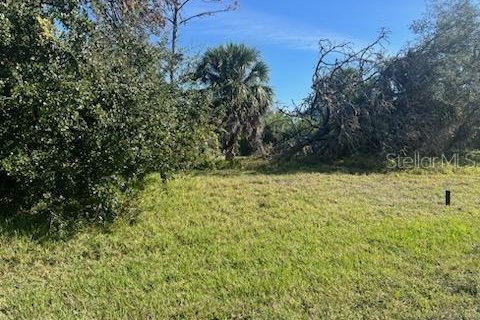 Terreno en venta en Rotonda, Florida № 964190 - foto 1