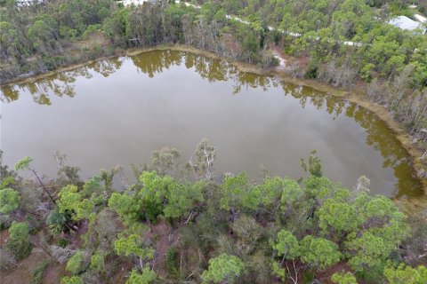 Terrain à vendre à Punta Gorda, Floride № 1251525 - photo 3