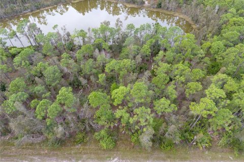 Terrain à vendre à Punta Gorda, Floride № 1251525 - photo 2