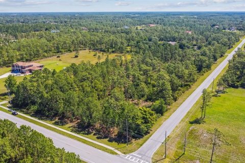 Terreno en venta en Orlando, Florida № 1349048 - foto 8