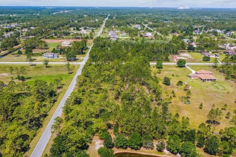 Terreno en venta en Orlando, Florida № 1349048 - foto 13