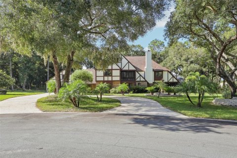 House in DeLand, Florida 5 bedrooms, 375.51 sq.m. № 1342577 - photo 2