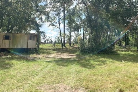 Terreno en venta en Belleview, Florida № 1416742 - foto 6