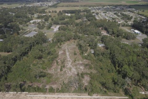 Terreno en venta en Belleview, Florida № 1416742 - foto 13