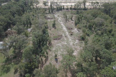 Terreno en venta en Belleview, Florida № 1416742 - foto 18