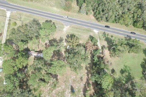 Terreno en venta en Belleview, Florida № 1416742 - foto 16