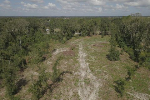 Terreno en venta en Belleview, Florida № 1416742 - foto 14