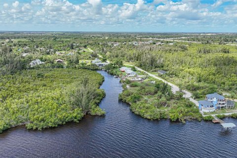 Terrain à vendre à Punta Gorda, Floride № 1246116 - photo 10