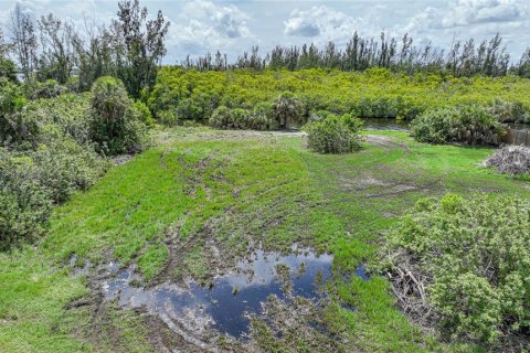 Terrain à vendre à Punta Gorda, Floride № 1246116 - photo 4