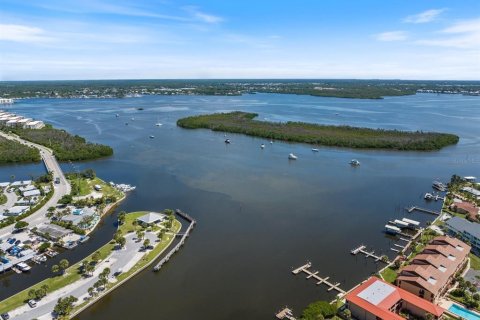 Land in Port Charlotte, Florida № 1253450 - photo 24