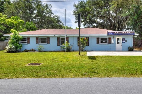 Commercial property in Lakeland, Florida 225.94 sq.m. № 1108633 - photo 1