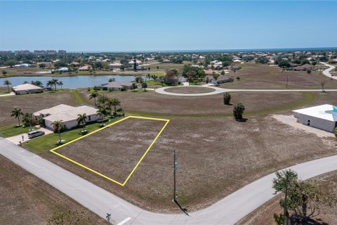 Terrain à vendre à Punta Gorda, Floride № 445014 - photo 7