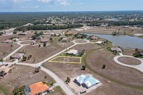 Land in Punta Gorda, Florida № 445014 - photo 5