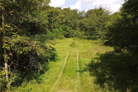 Land in Newberry, Florida № 1296129 - photo 5