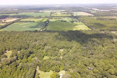 Terreno en venta en Newberry, Florida № 1296129 - foto 20