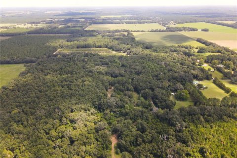 Land in Newberry, Florida № 1296129 - photo 21