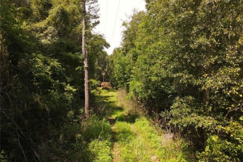 Land in Newberry, Florida № 1296129 - photo 15