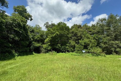 Terrain à vendre à Newberry, Floride № 1296129 - photo 4