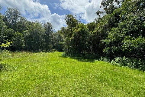 Terrain à vendre à Newberry, Floride № 1296129 - photo 3