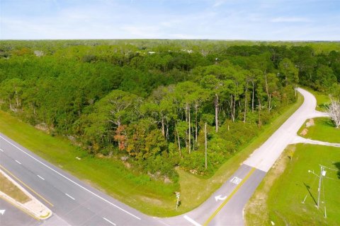 Terreno en venta en Ormond Beach, Florida № 1405289 - foto 9