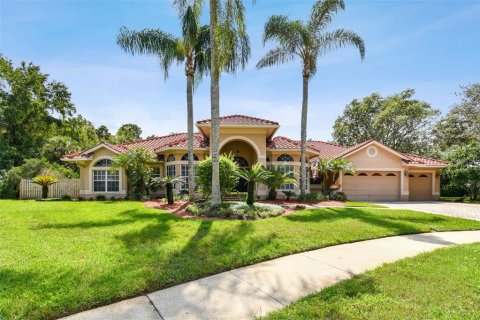 Villa ou maison à vendre à Tampa, Floride: 4 chambres, 333.33 m2 № 1372251 - photo 10