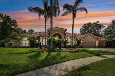 Villa ou maison à vendre à Tampa, Floride: 4 chambres, 333.33 m2 № 1372251 - photo 1