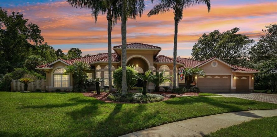 Villa ou maison à Tampa, Floride 4 chambres, 333.33 m2 № 1372251