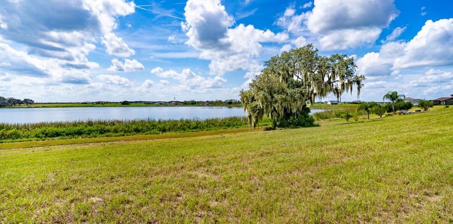 Terrain à Auburndale, Floride № 1372284