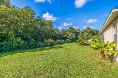 Villa ou maison à vendre à Wesley Chapel, Floride: 4 chambres, 207.26 m2 № 1381230 - photo 30