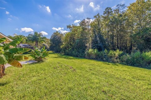 Villa ou maison à vendre à Wesley Chapel, Floride: 4 chambres, 207.26 m2 № 1381230 - photo 29