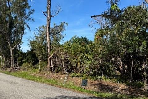 Terreno en venta en Englewood, Florida № 970871 - foto 4