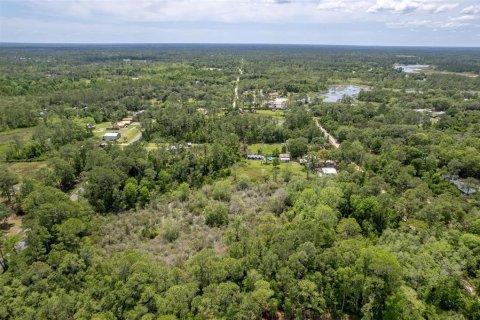 Купить земельный участок в Деланд, Флорида № 449277 - фото 19